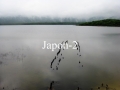 11JAPONb (2)