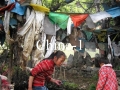 10CHINE (2)